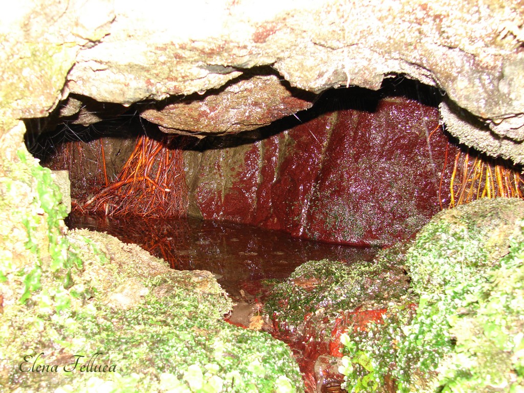 Aqua Traiana-Paola. Fosso di Grotte Renara. Bottino di presa?