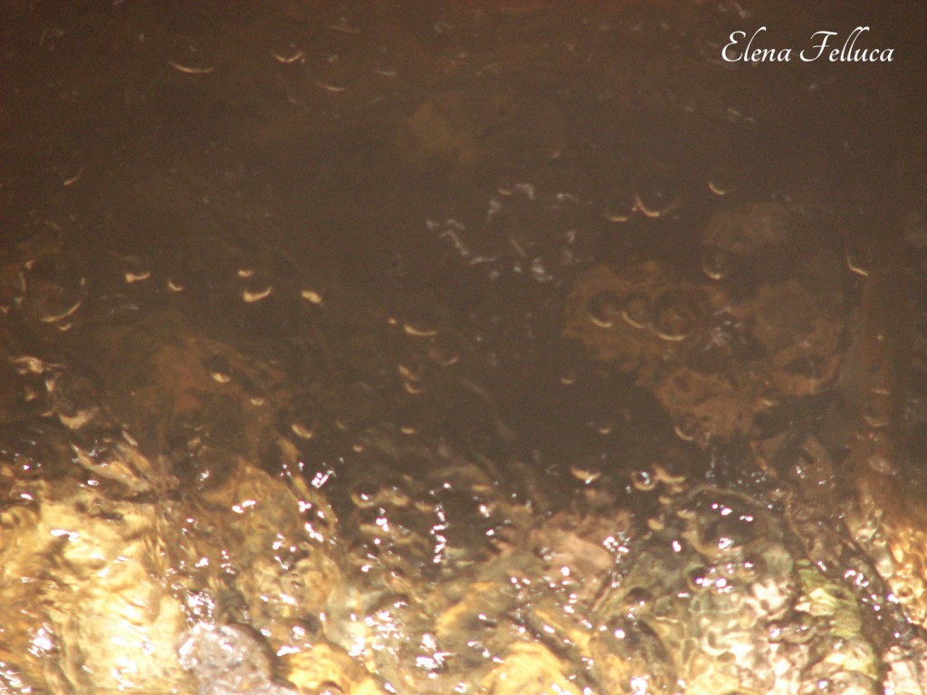Aqua Traiana-Paola, interno. Fosso di Grotte Renara.