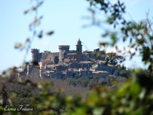 Castello di Bracciano e borgo antico.