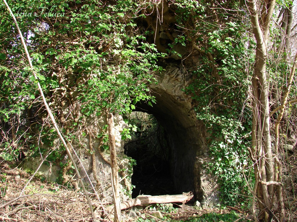 Cisterna romana, Bracciano, Poggio di Grotte Renara