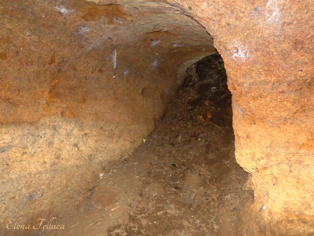 Bracciano, grotta sulla Settevenepalo 1f, ambiente nord-ovest.