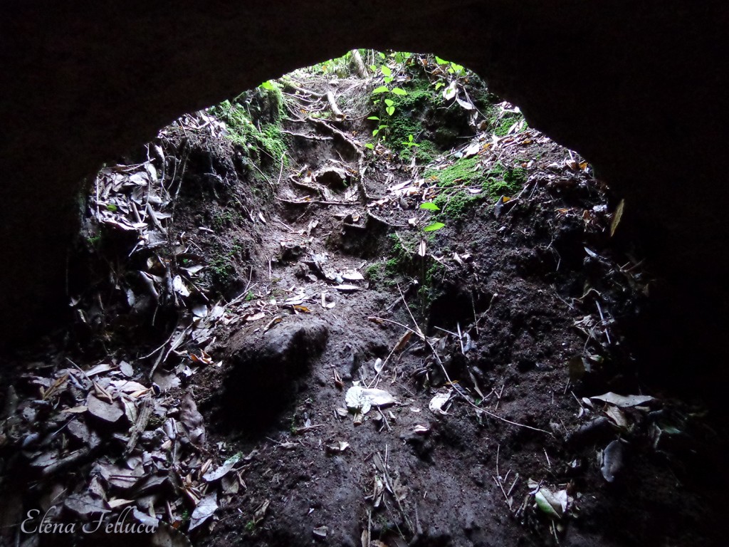 Bracciano, grotta sulla Settevenepalo 1f, accesso ambiente nord-ovest.