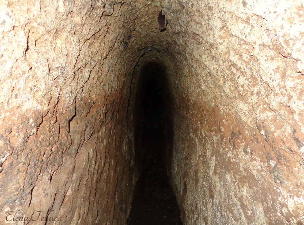 Cunicolo di epoca etrusca all'interno del pozzo, Grotta Camina - Palo bucato.