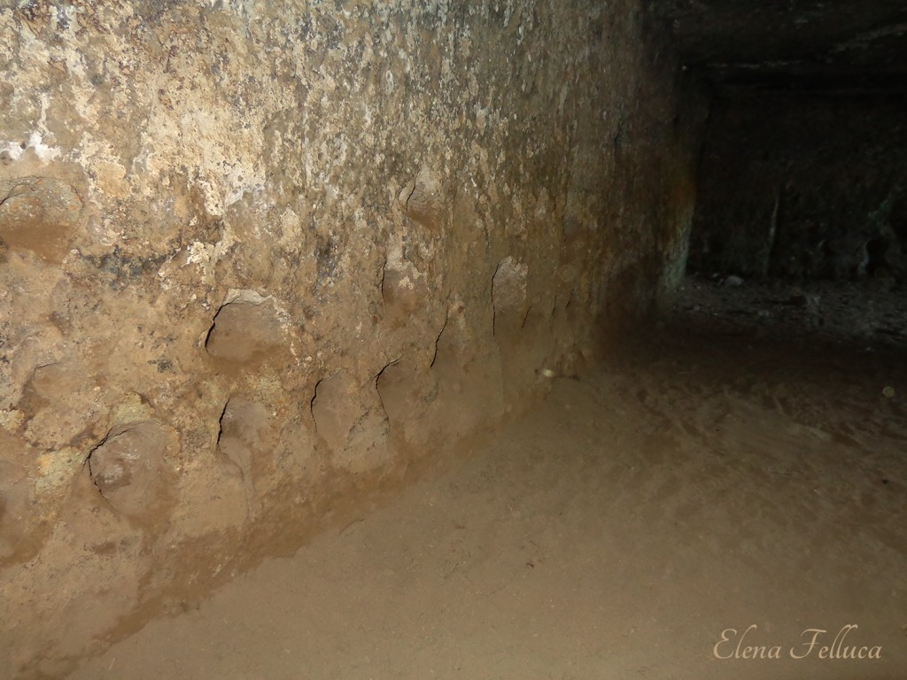 Grotta Camina - Palo bucato.