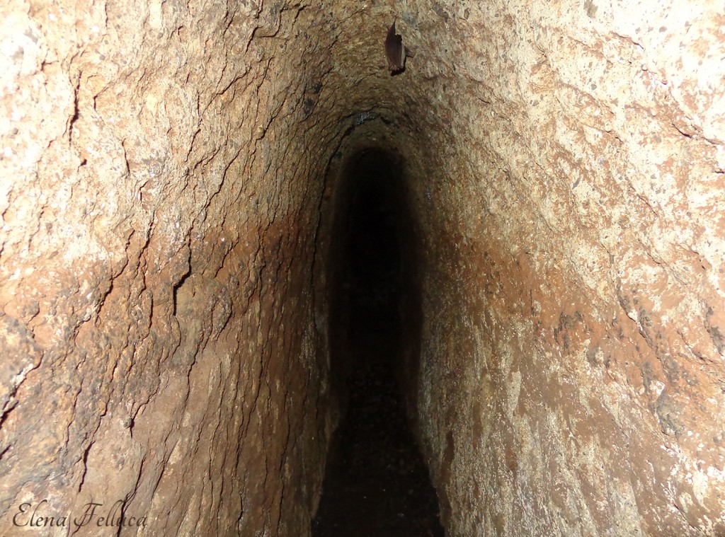 Bracciano, Grotta Camina-Palo bucato, interno cunicolo.